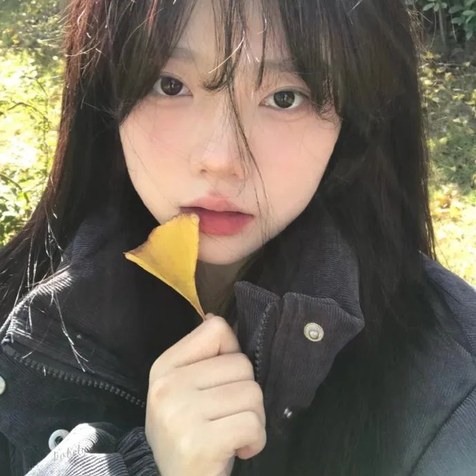 绯色战姬